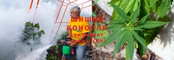 стаф Абдулино
