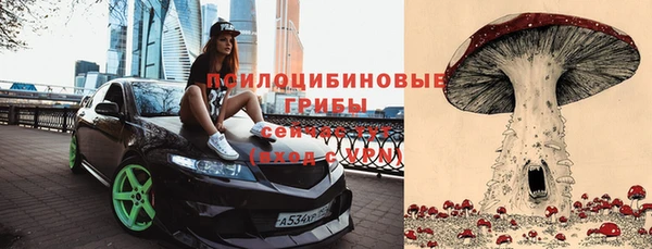 прущий лед Алексеевка
