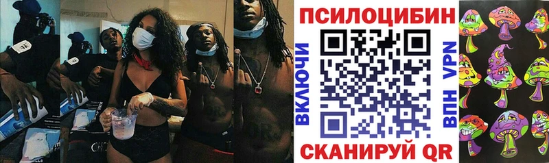 Галлюциногенные грибы Magic Shrooms  купить наркотик  Прокопьевск 