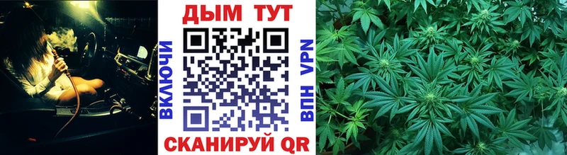 blacksprut ссылки  Прокопьевск  Конопля сатива 
